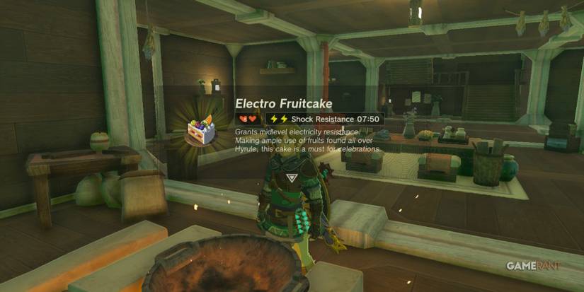 loz totk electro fruitcake