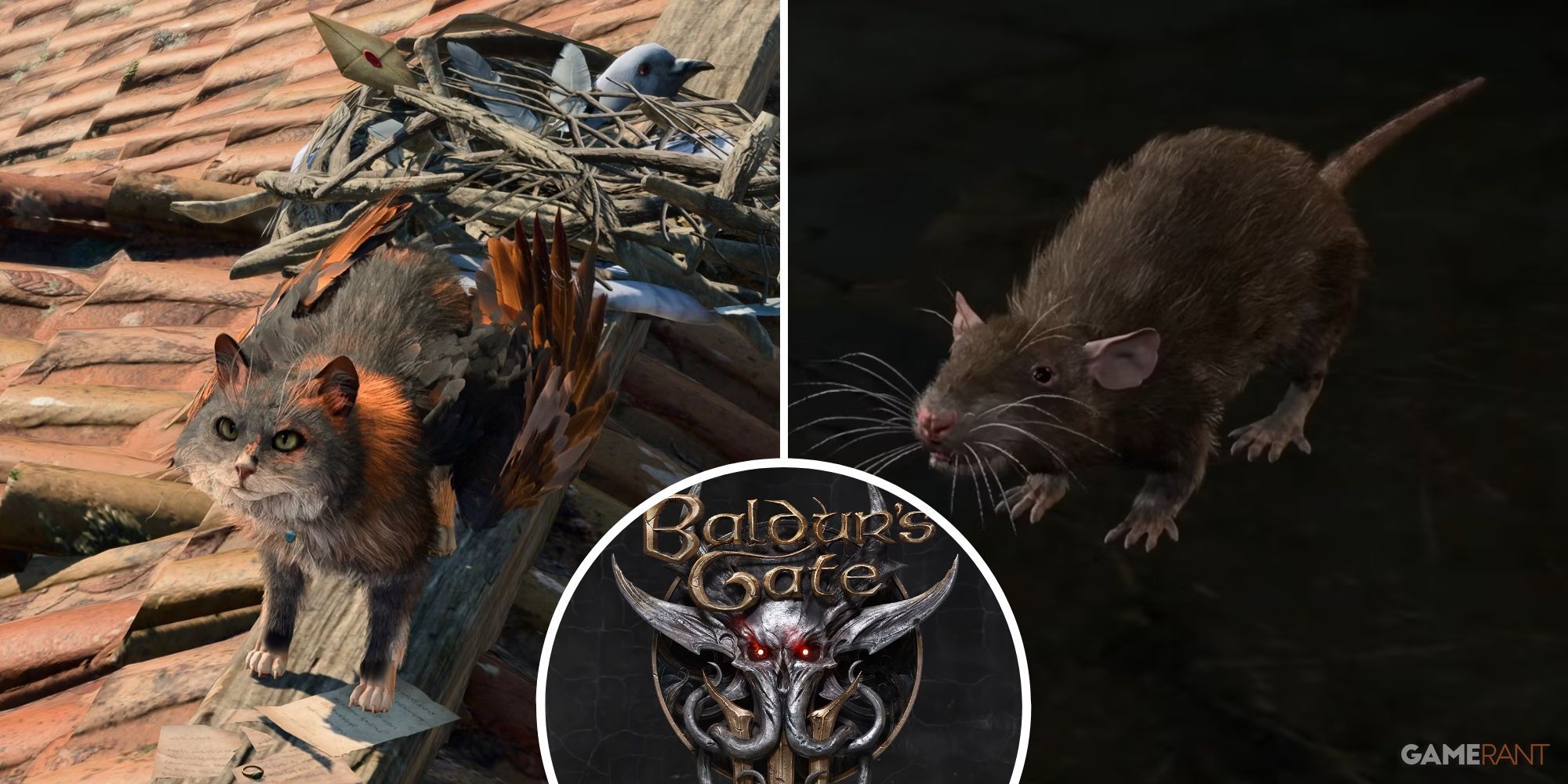Baldur's Gate 3 - Animal Merchants Tara and Skittle