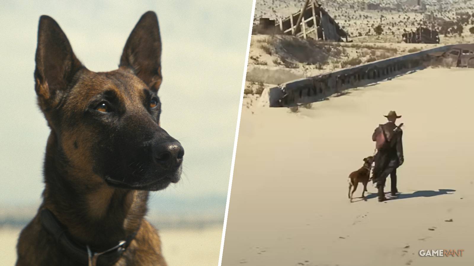 fallout-tv-series-cx404-dogmeat-ghoul