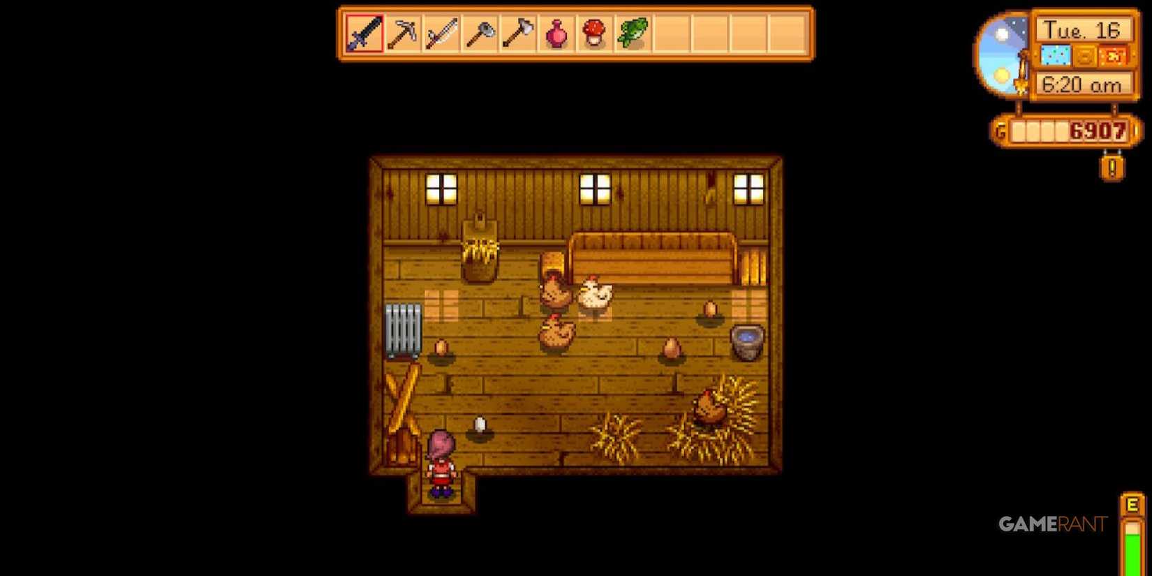 Stardew Valley - Coop