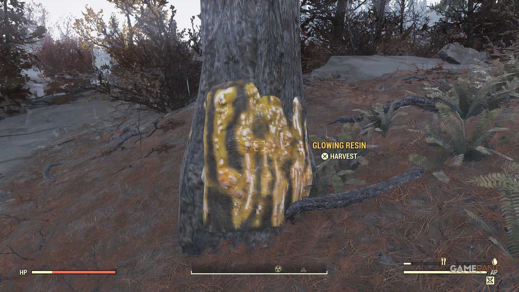 Glowing Resin On A Tree in Fallout 76