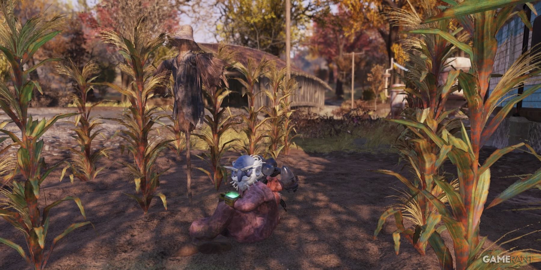 A Player Sitting In Crops