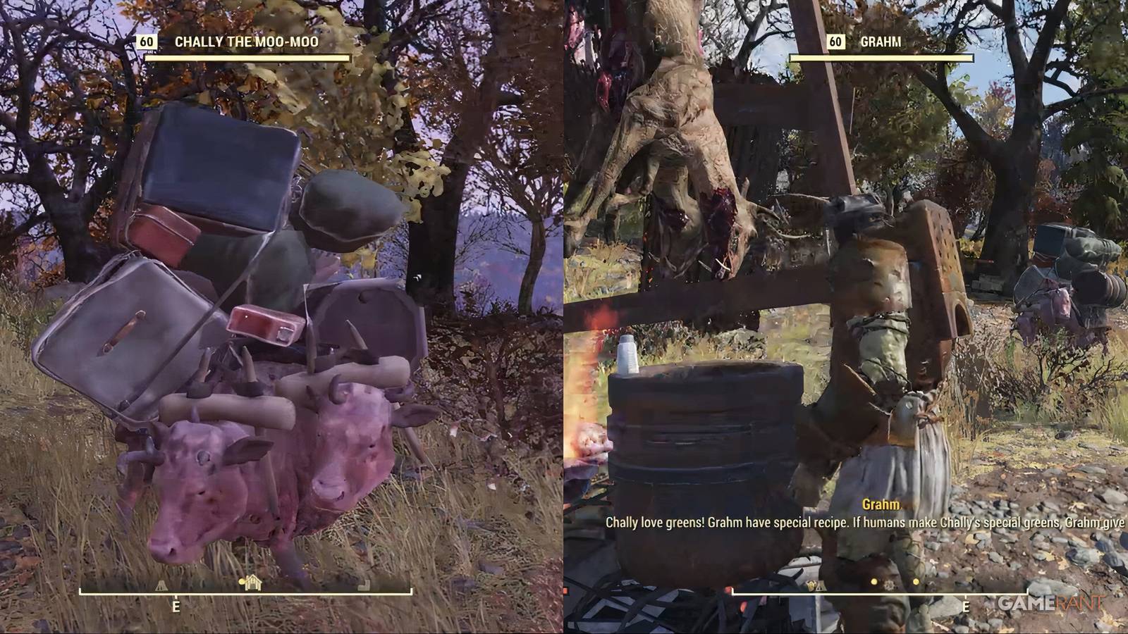 Chally The Moo Moo And Grahm in Fallout 76