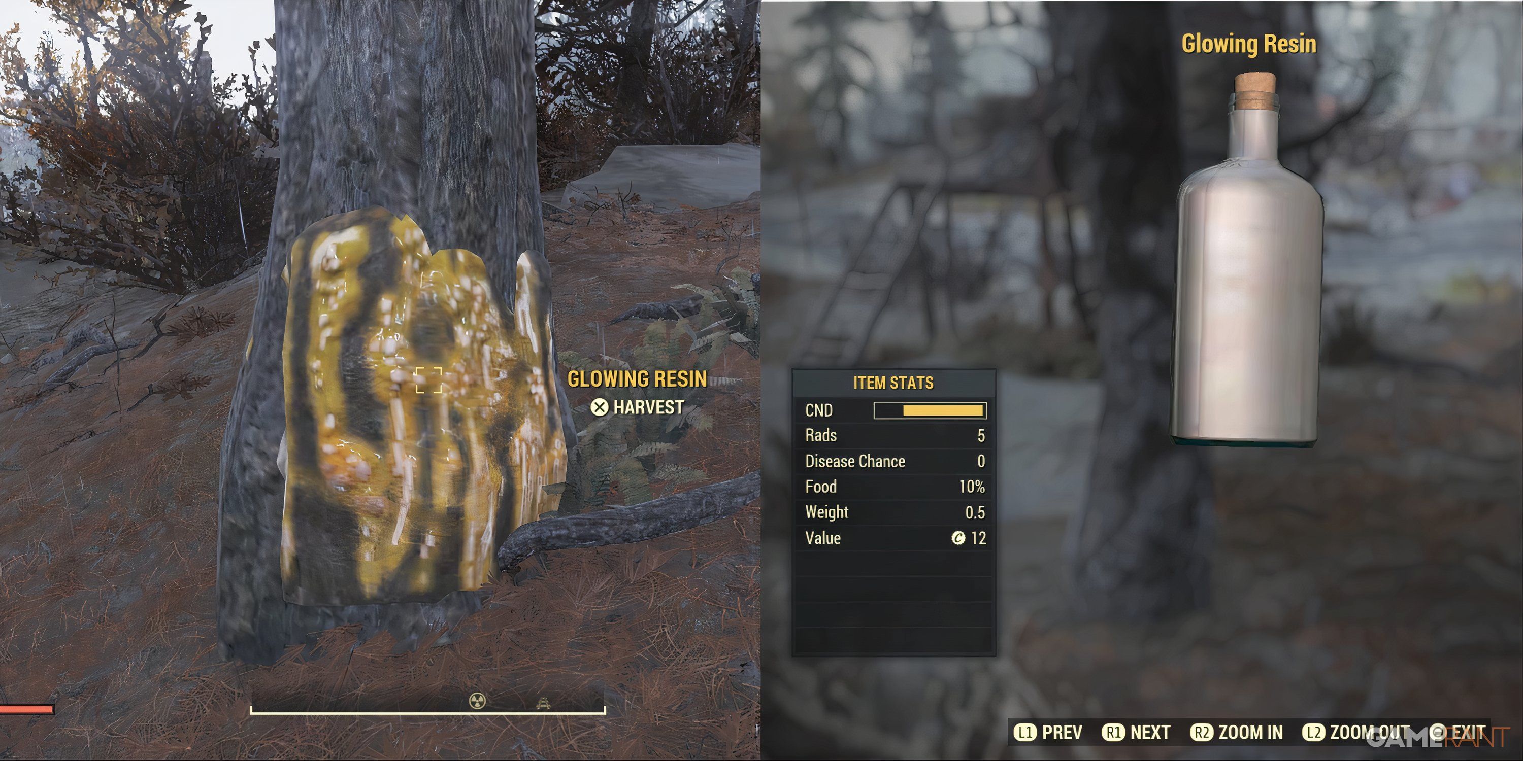 Glowing Resin Harvest And On A Tree in Fallout 76