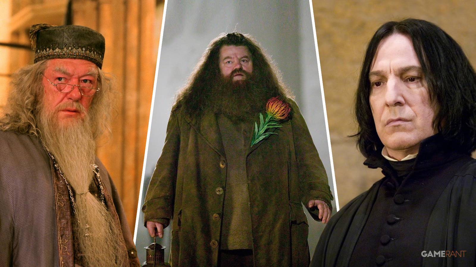 Dumbledore, Hagrid, and Snape