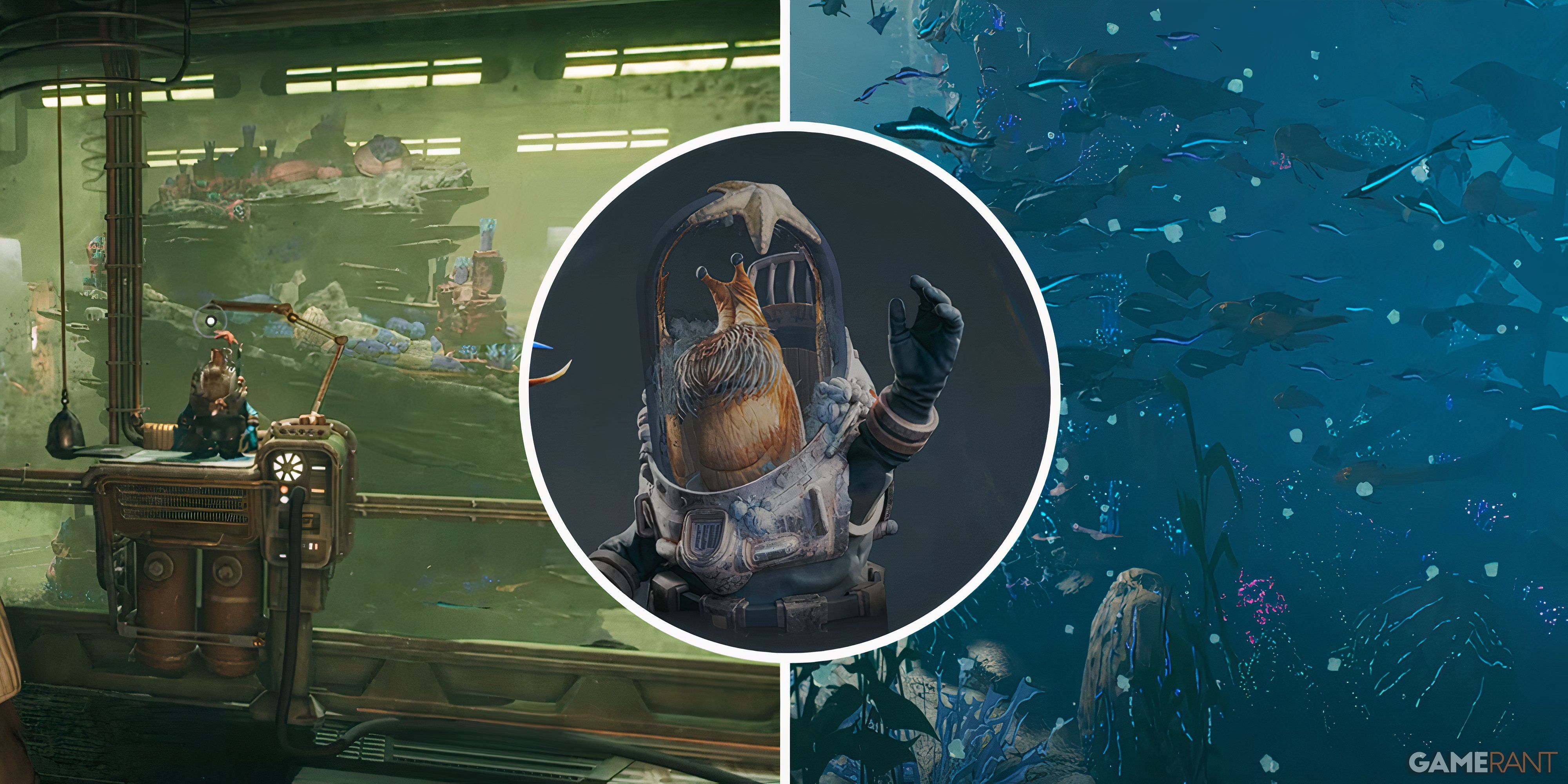 Jedi Surivor - Fish Tank Split Image