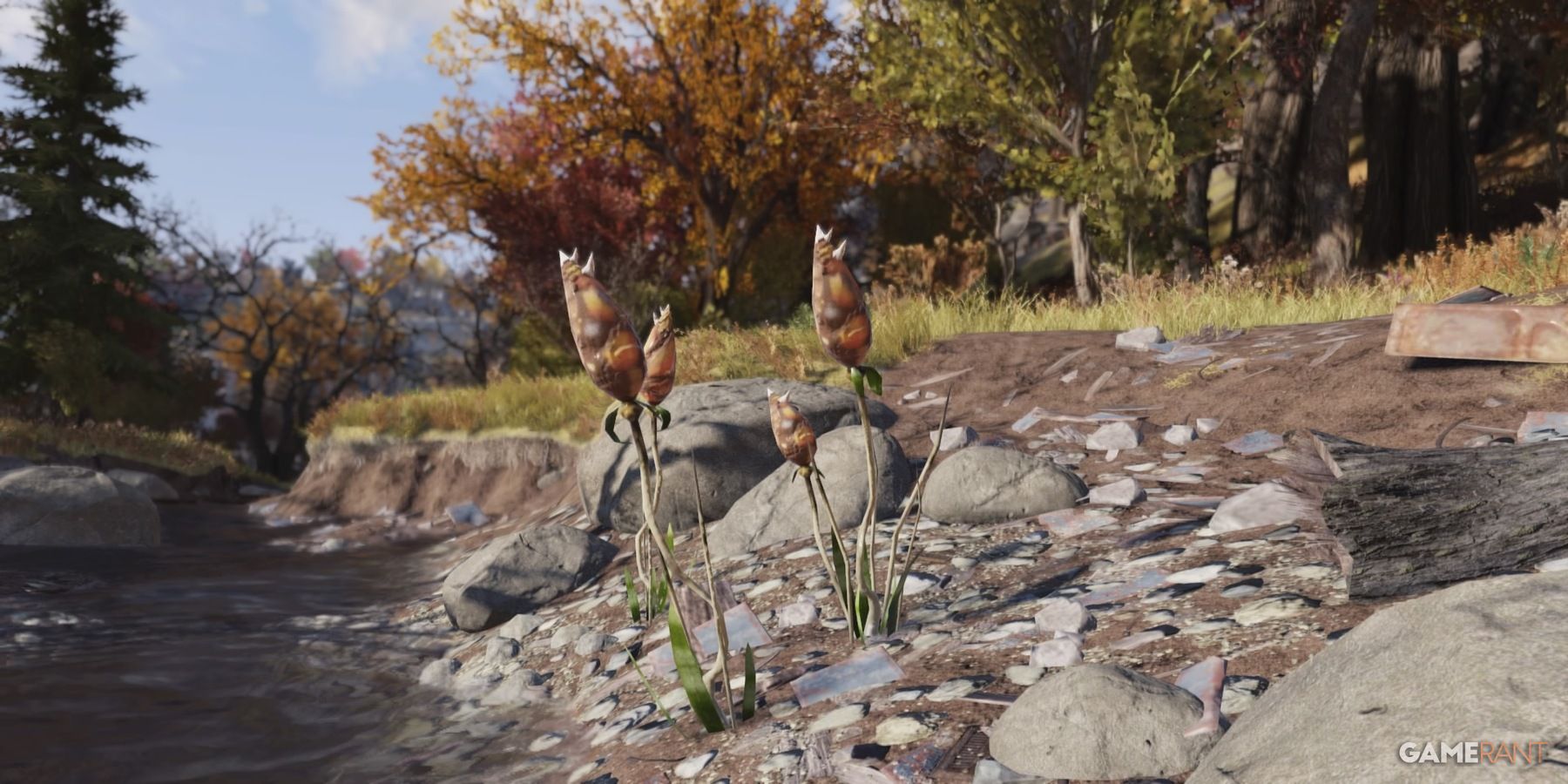Snaptail in Fallout 76