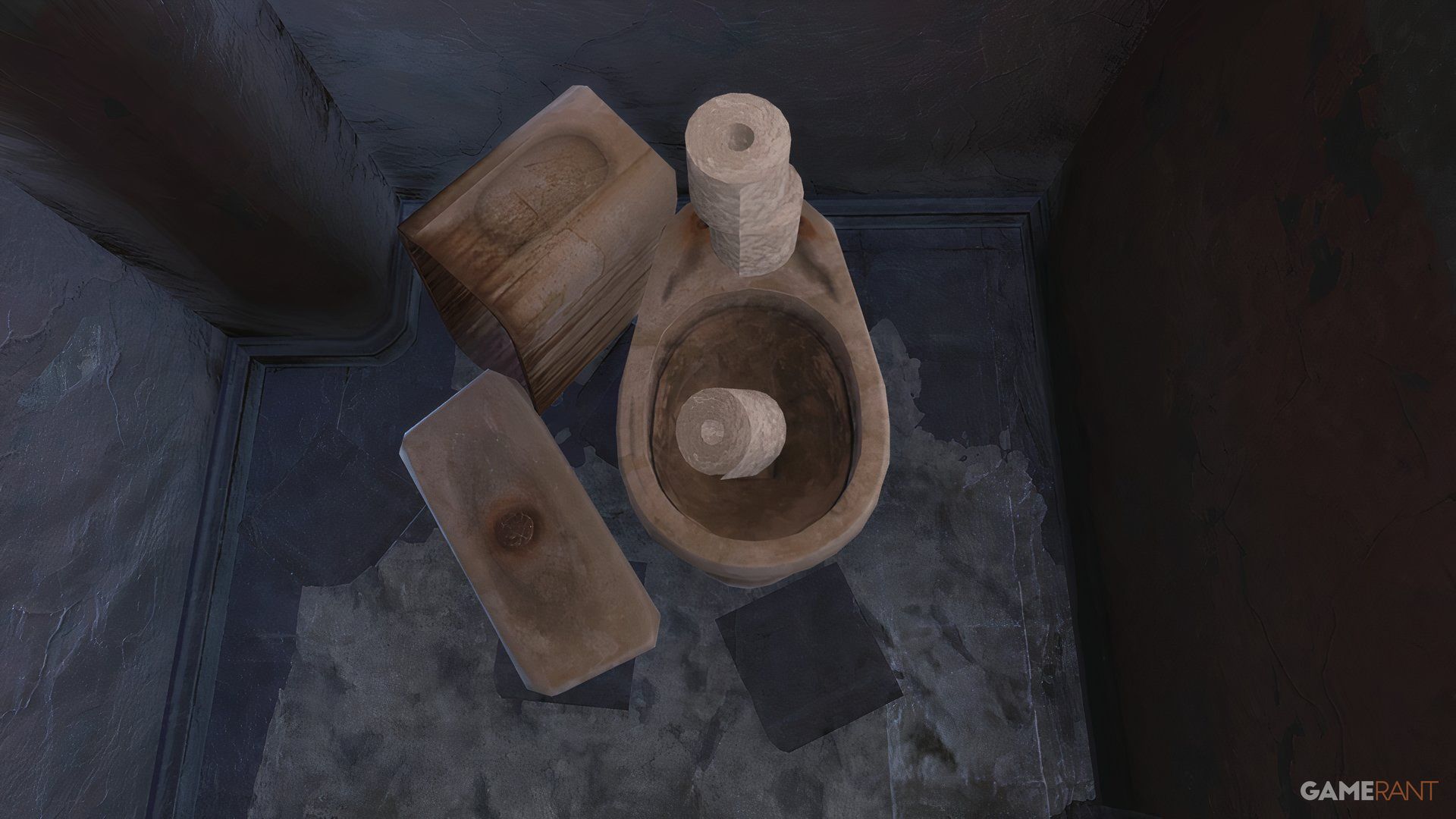 Toilet Paper in A Toilet in Fallout 76