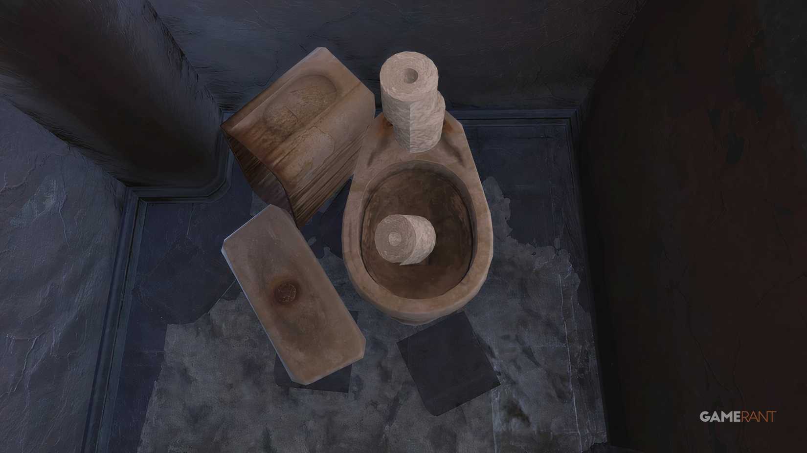 Toilet Paper in A Toilet in Fallout 76