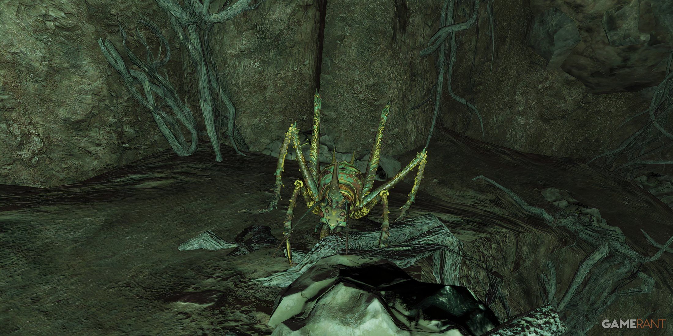A Cave Cricket in Fallout 76