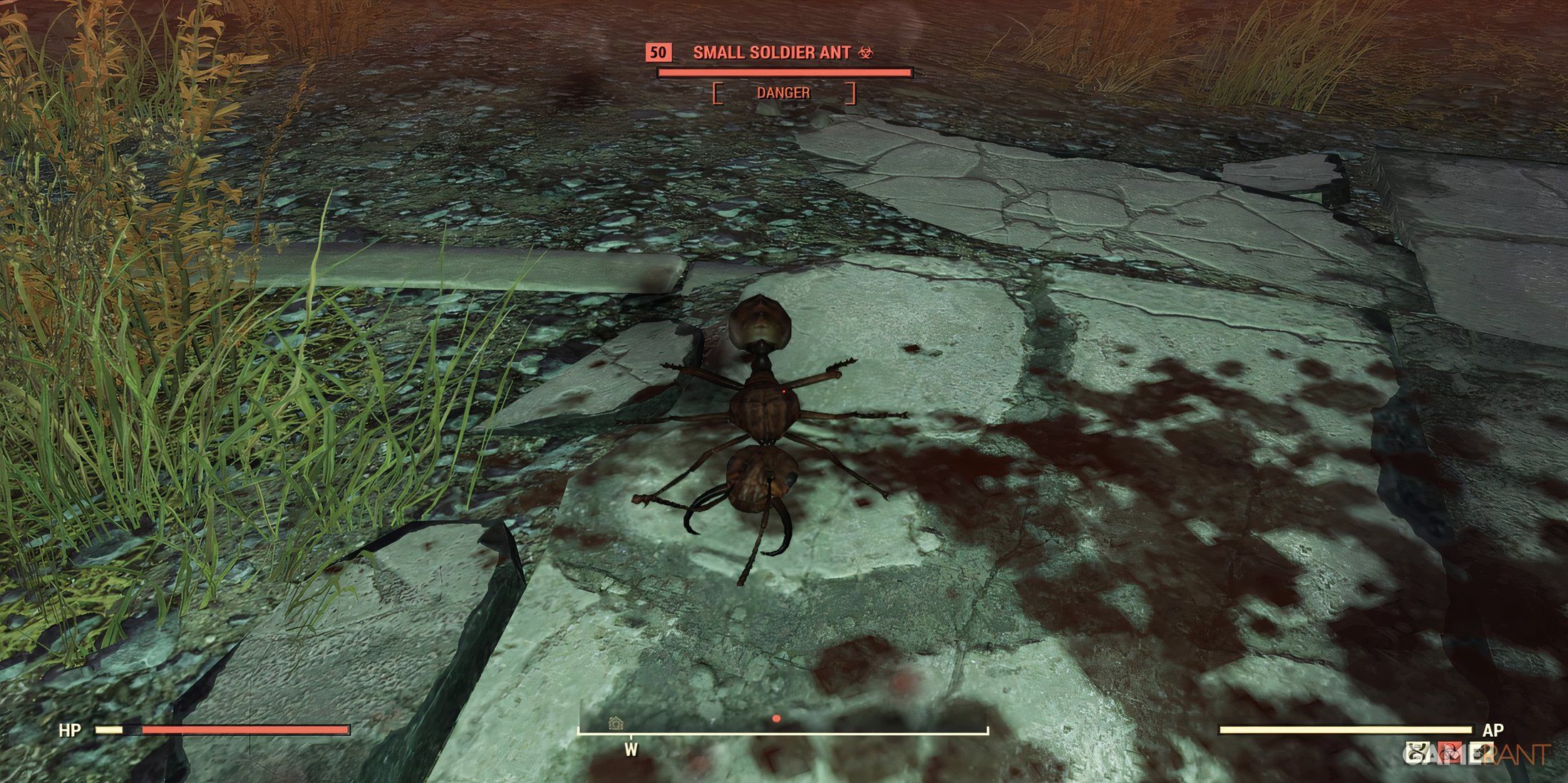 An Ant in Fallout 76
