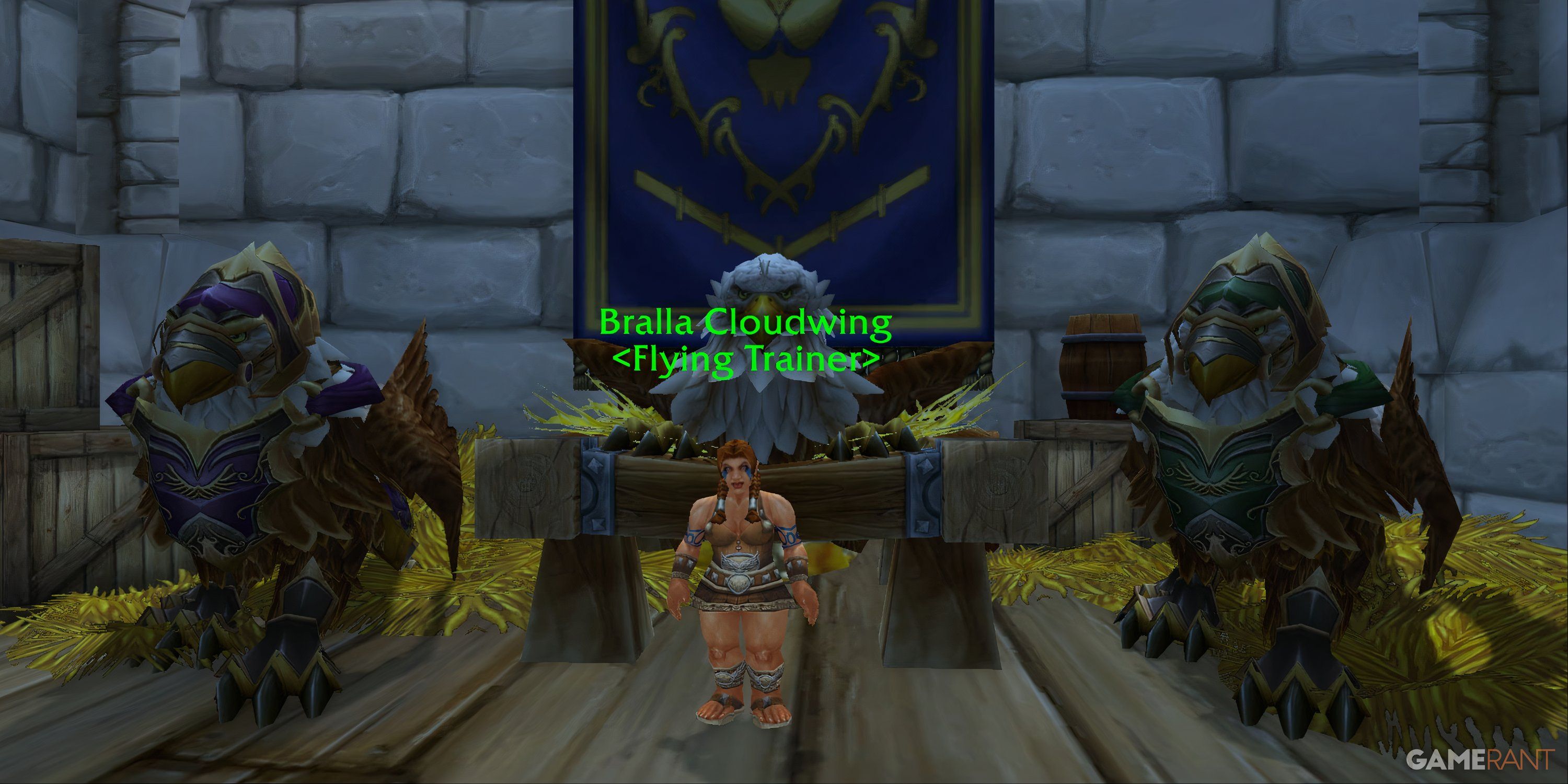 bralla cloudwing flying trainer stormwind warcraft 