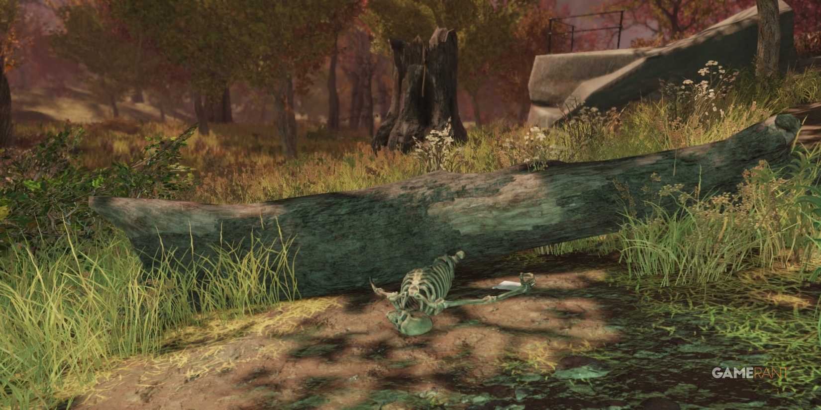 Captain Bee's Skeleton in Fallout 76