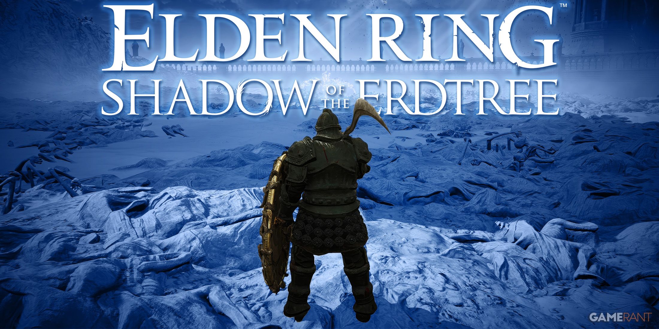 Elden Ring Shadow of the Erdtree white logo in final boss arena blue background swap