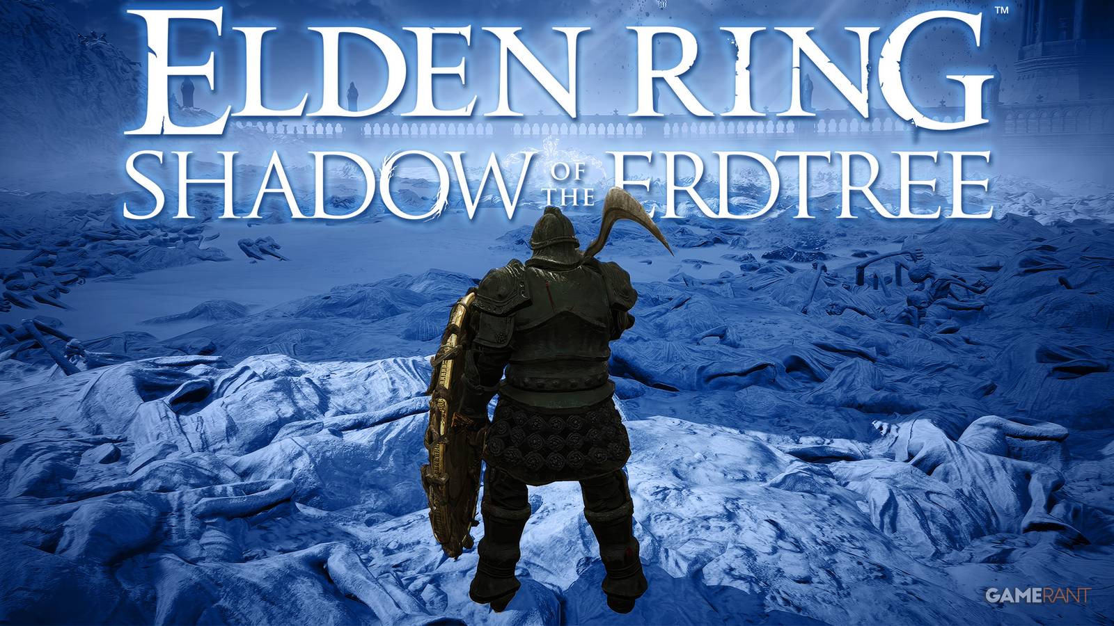 Elden Ring Shadow of the Erdtree white logo in final boss arena blue background swap