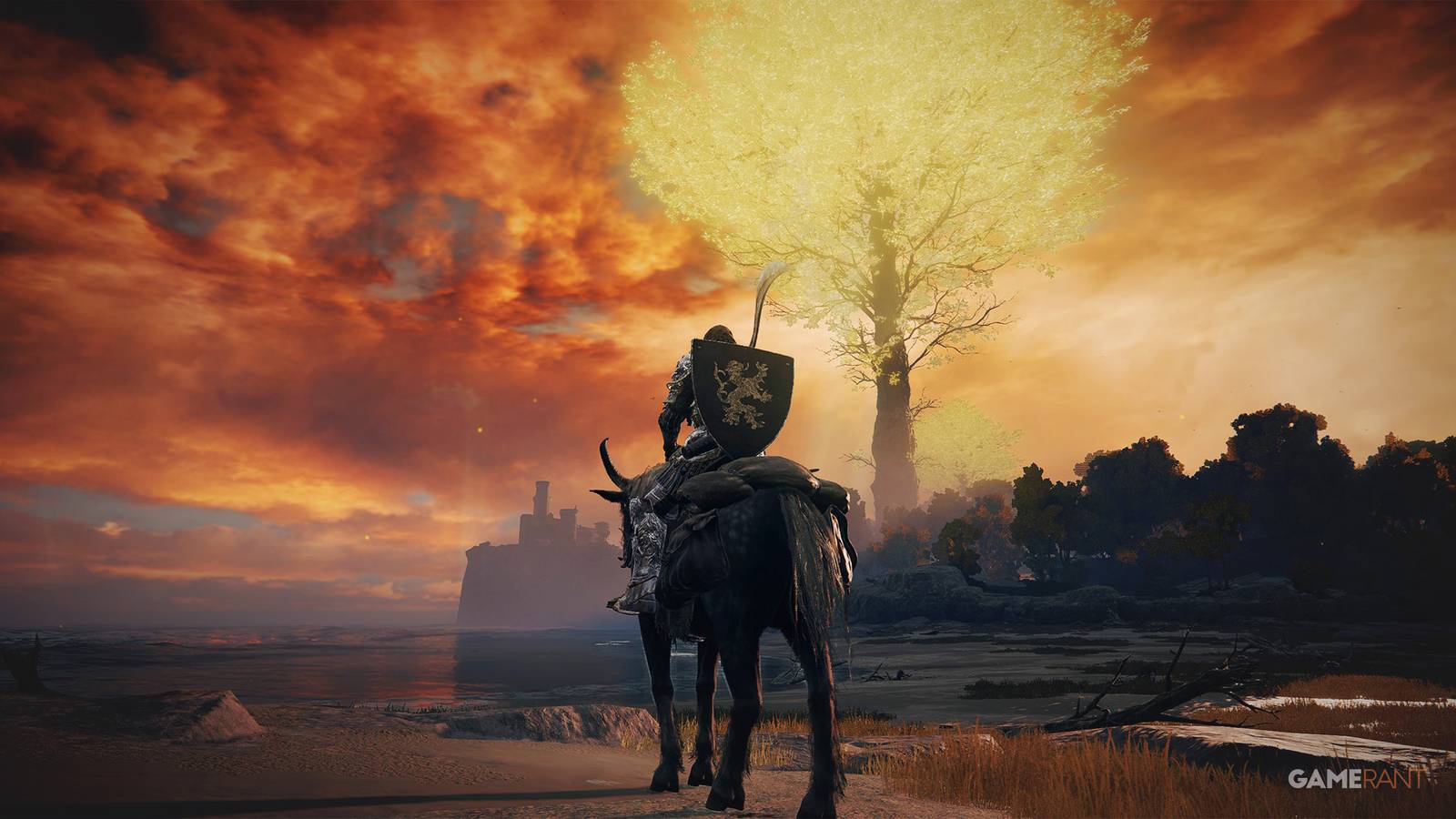 Elden Ring Tarnished on Torrent on Caelid beach