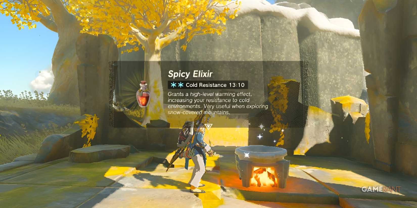 Elixir in The Legend of Zelda Tears of The Kingdom