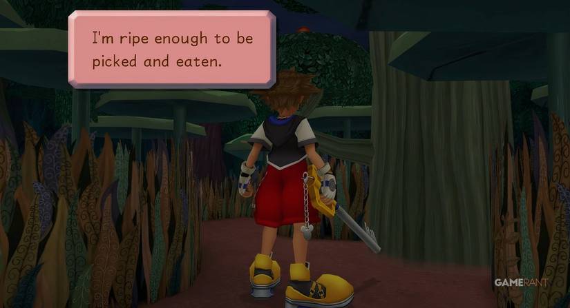evidence 4 kingdom hearts 1