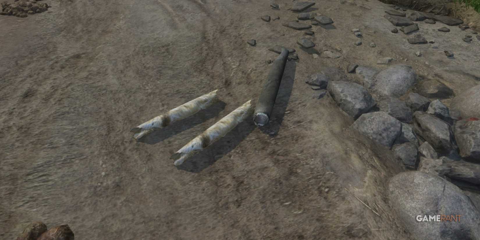 Hides in Kingdom Come Deliverance