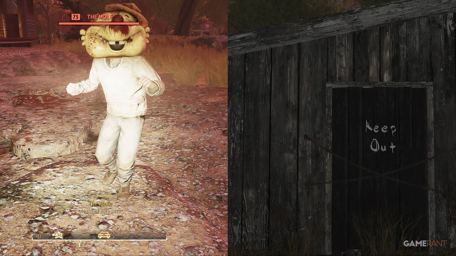 The Mole in Fallout 76