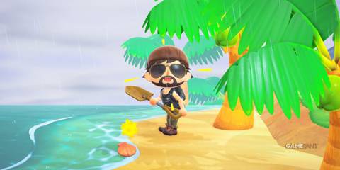 Animal Crossing New Horizons shovel beach clam golden falling star palm trees