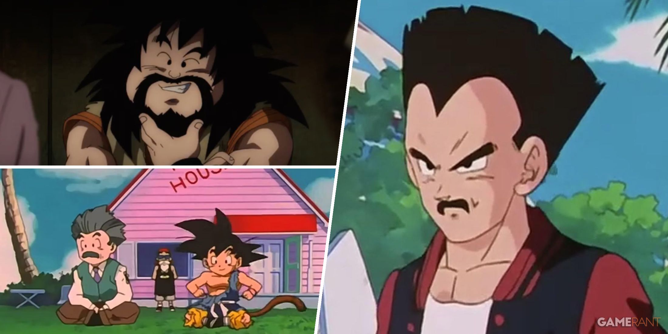 Some of the Dragon Ball characters who grew facial hair
