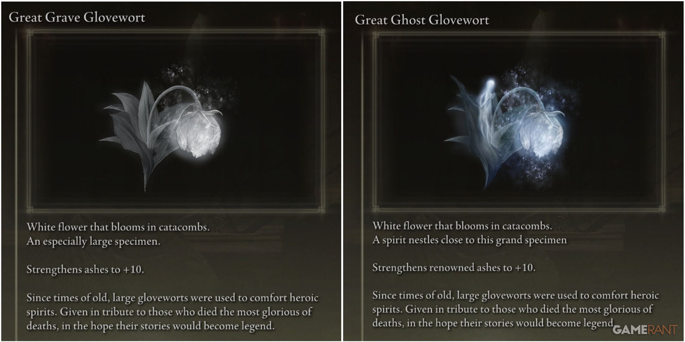 Elden Ring: All Great Ghost Glovewort Locations In Shadow Of The Erdtree