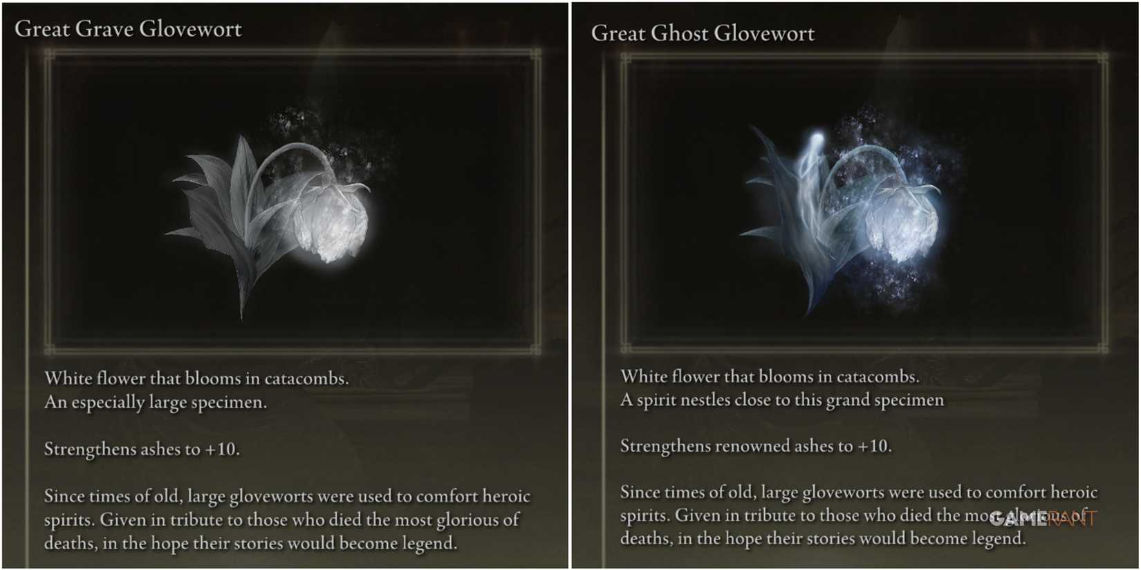 Elden Ring - Shadow of the Erdtree - Great Grave & Ghost Glovewort