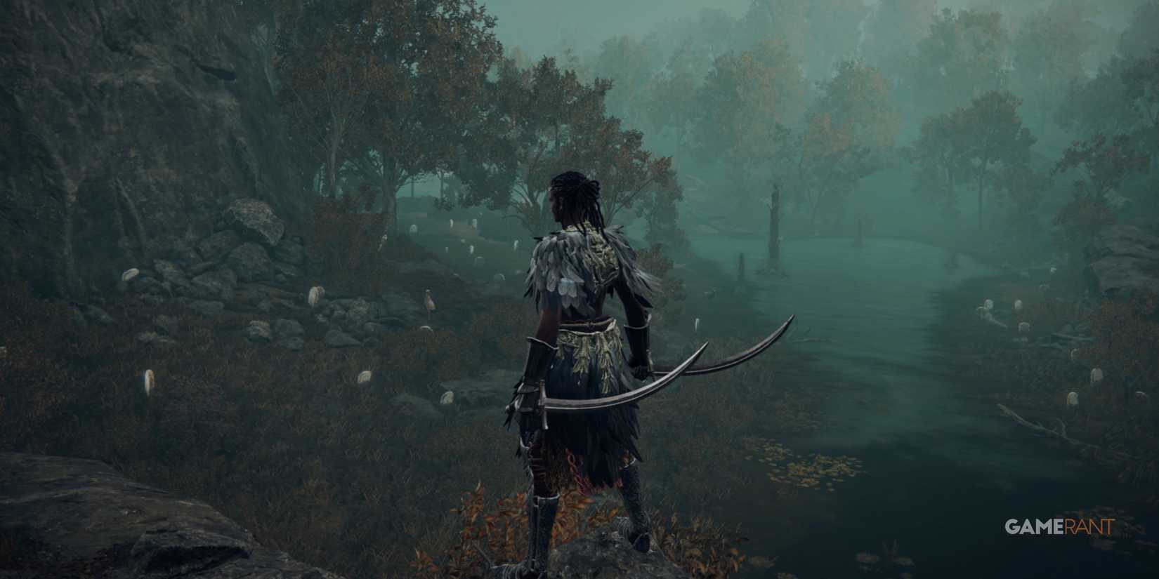 Elden Ring player standing with Backhand Blades in the Land of Shadow