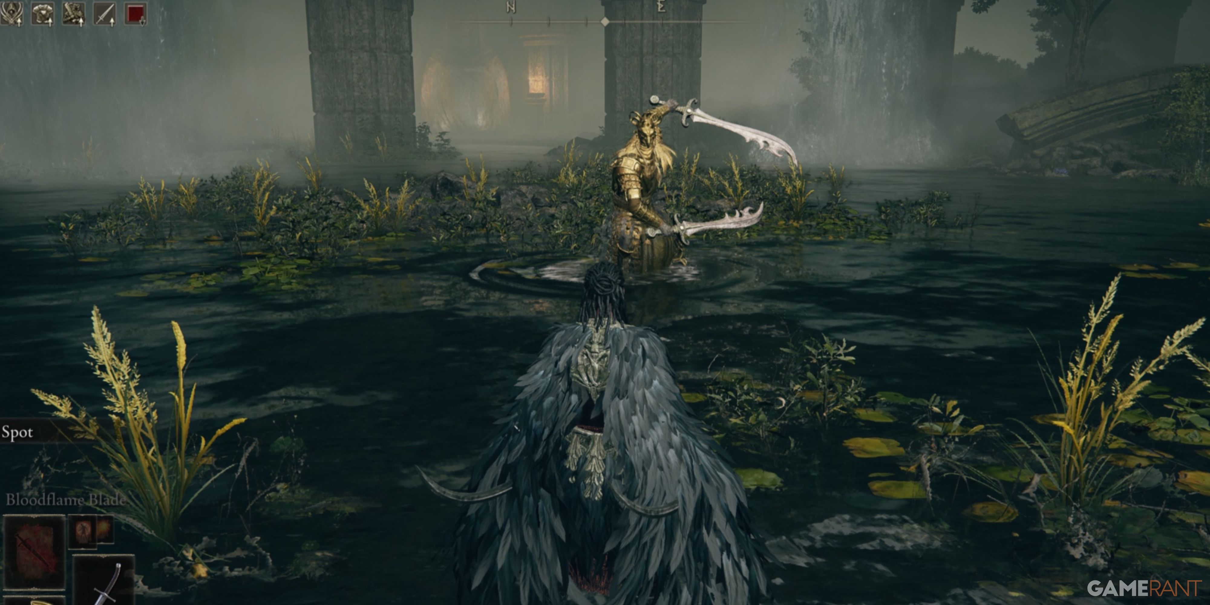 Elden Ring player fights with a divine bird warrior in a pool of water