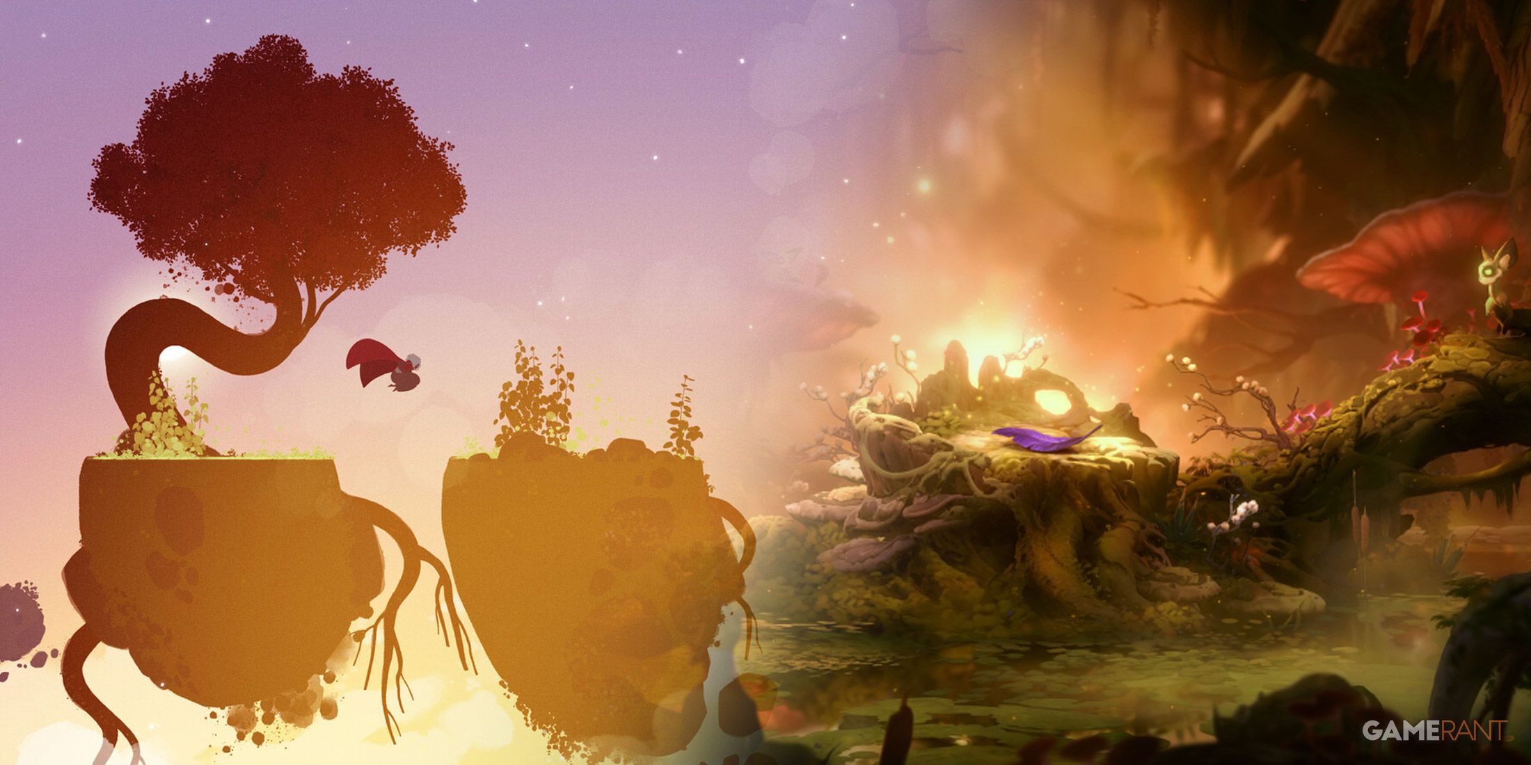 Neva Ori Two Sides Same Coin