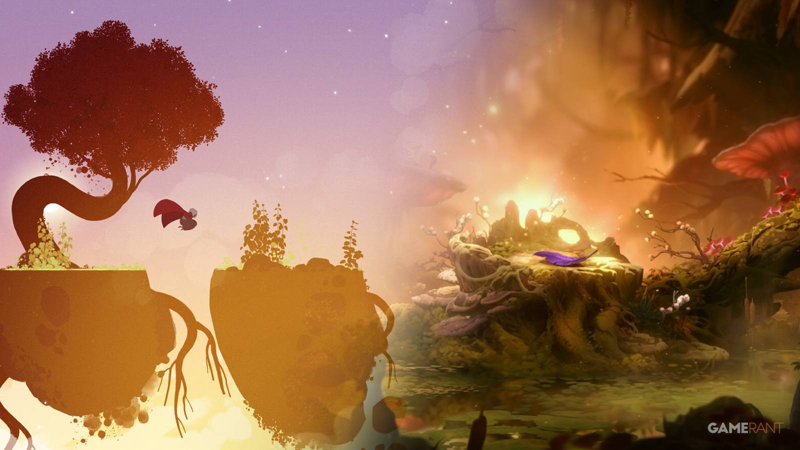 Neva Ori Two Sides Same Coin