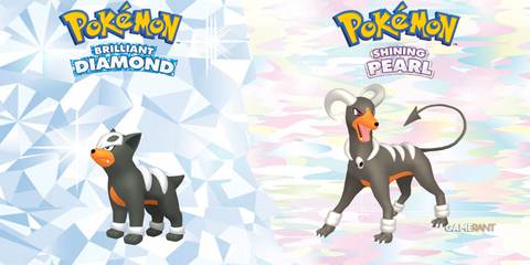 pokemon brilliant diamond and shining pearl how to get houndoom feature