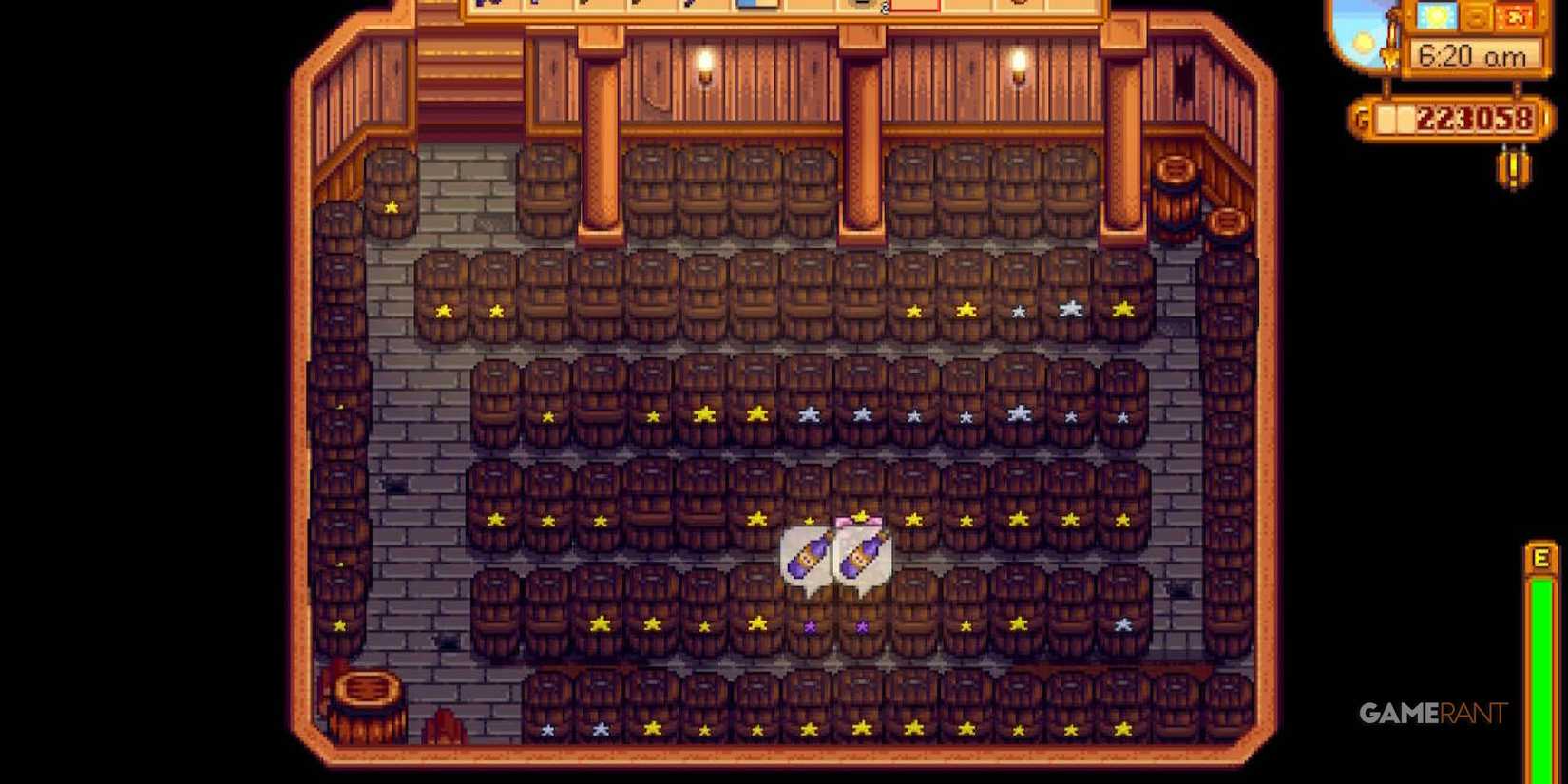 stardew valley cellar farmhouse