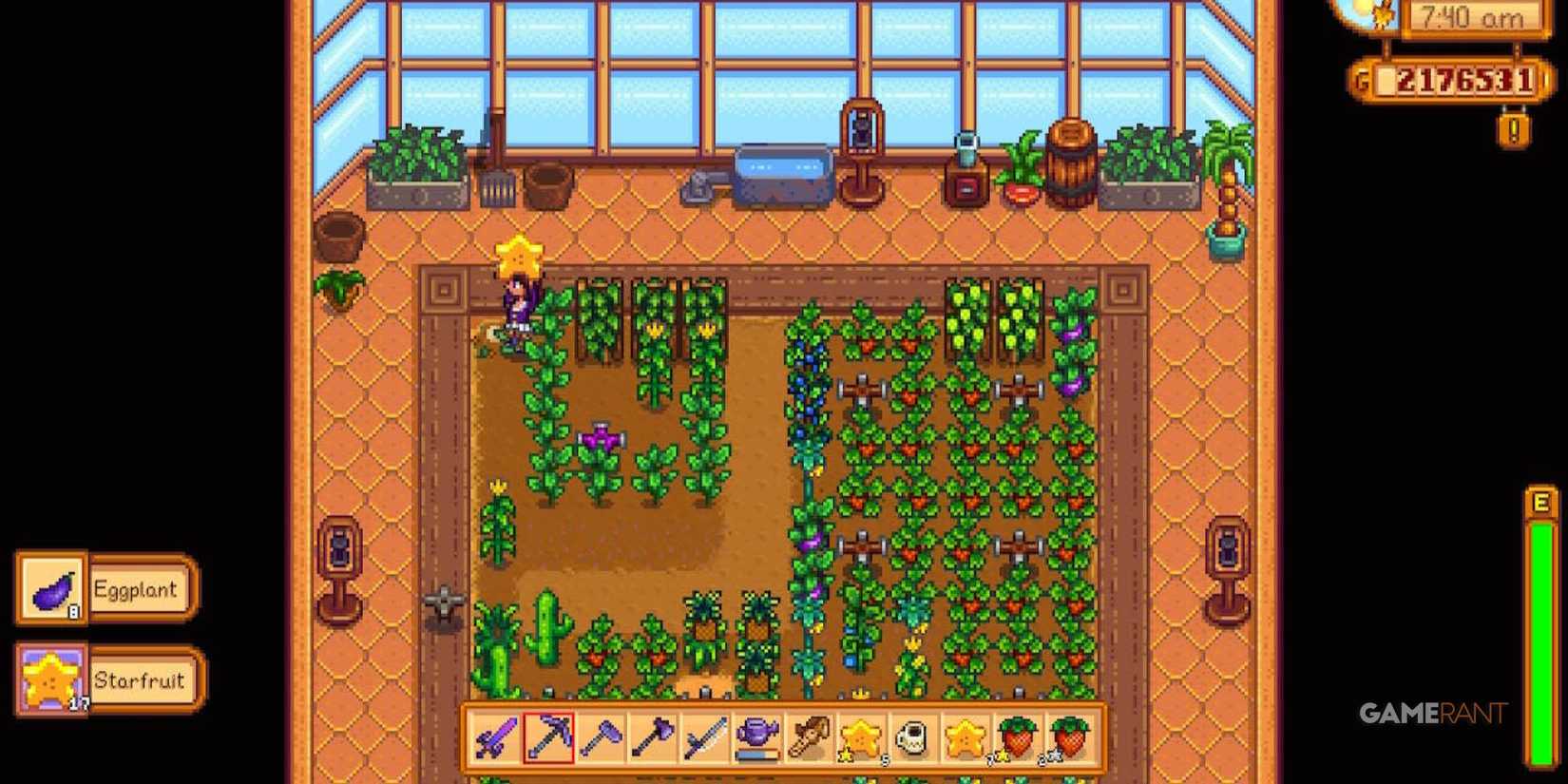 stardew valley greenhouse starfruit