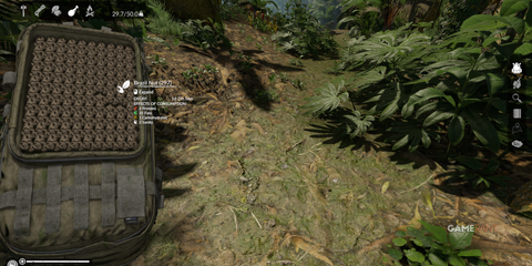 A large supply of Brazil Nuts for fats, carbohydrates, and sanity while surviving in Green Hell