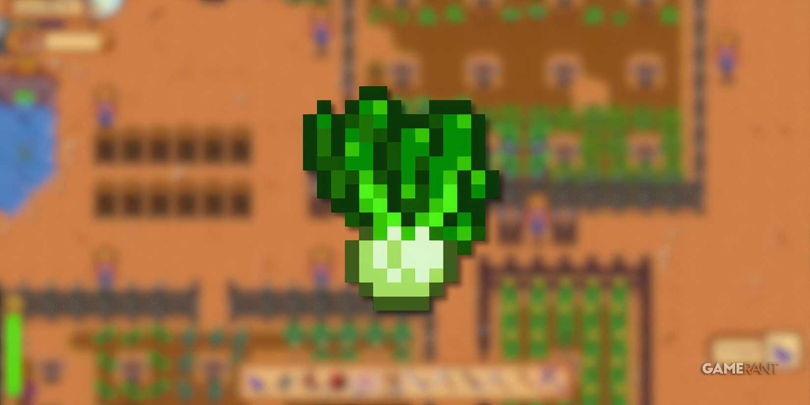 bok-choy-stardew-valley