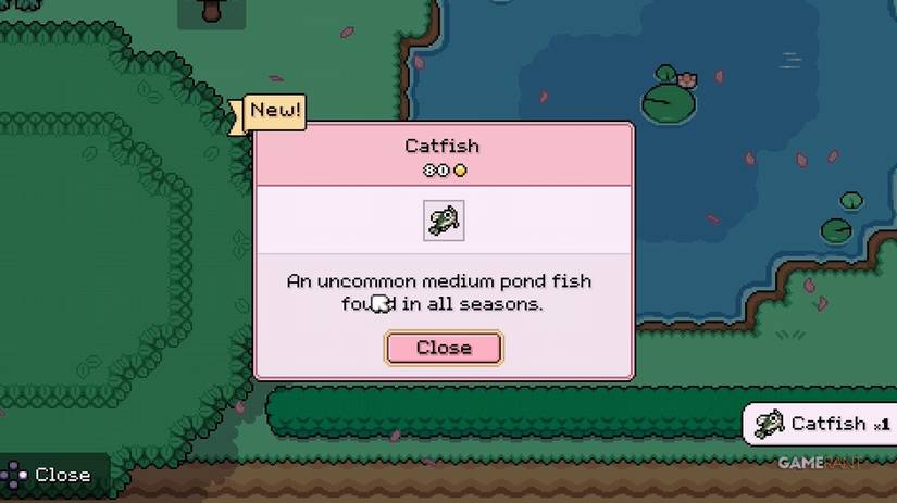 catfish fields of mistria