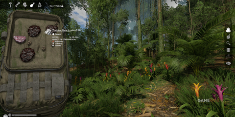Cooked Tortoise Meat providing proteins and sanity in the midst of a lush jungle in Green Hell