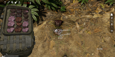 Dried Capybara Meat offering high proteins and fats, crucial for jungle survival in Green Hell