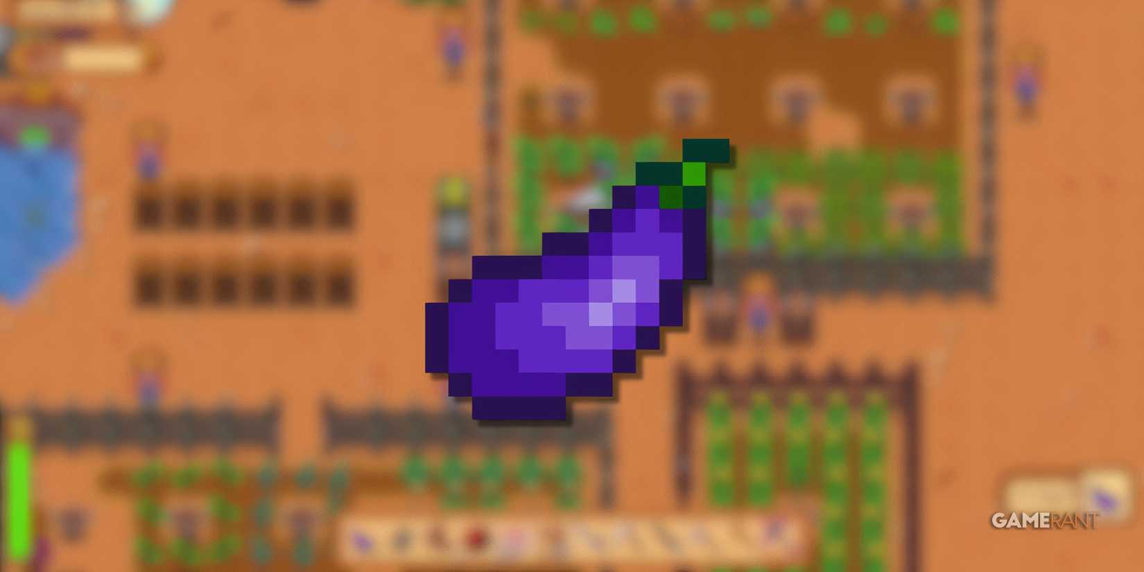 an eggplant in stardew valley.