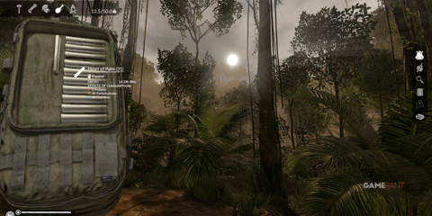 Heart of Palm for carbohydrates and hydration, a vital resource in the dense forest in Green Hell