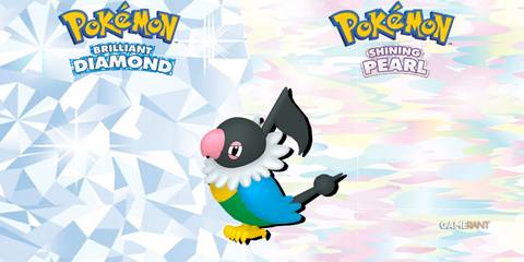 pokemon brilliant diamond and shining pearl how to get chatot_feature image