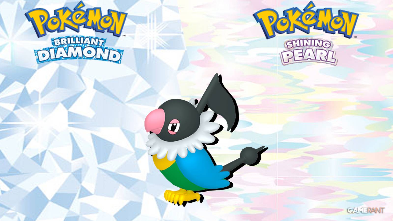 pokemon brilliant diamond and shining pearl how to get chatot_feature image