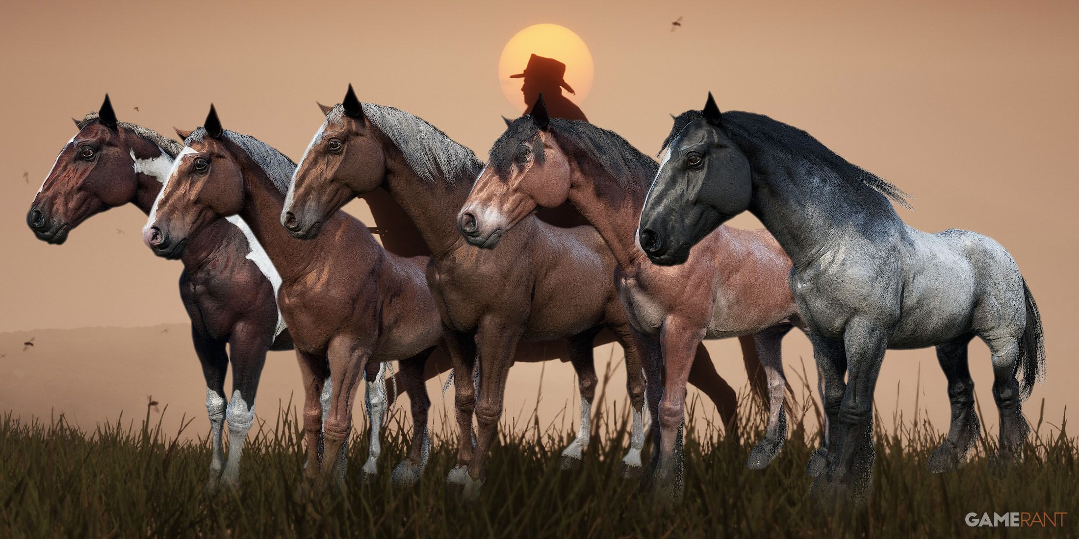 Red Dead Redemption 2 Horse Tier List