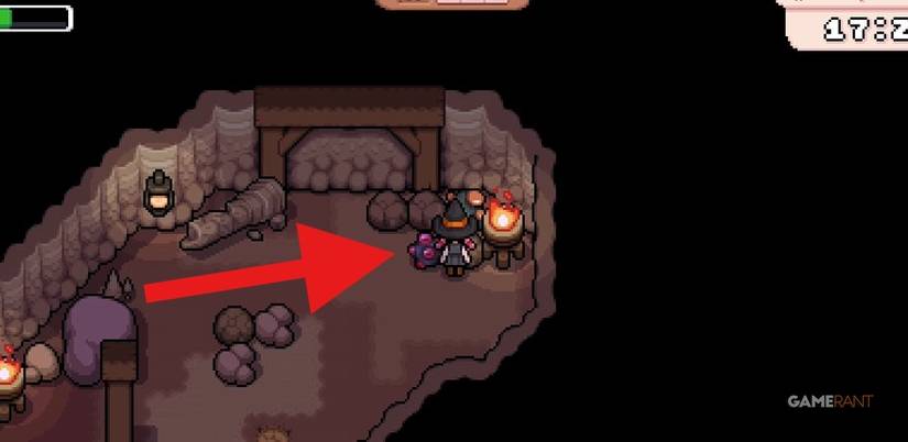 ruby fields of mistria