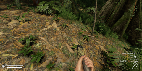 Surveying the forest floor, dense with fallen leaves and new growth, with a spear in hand in Green Hell