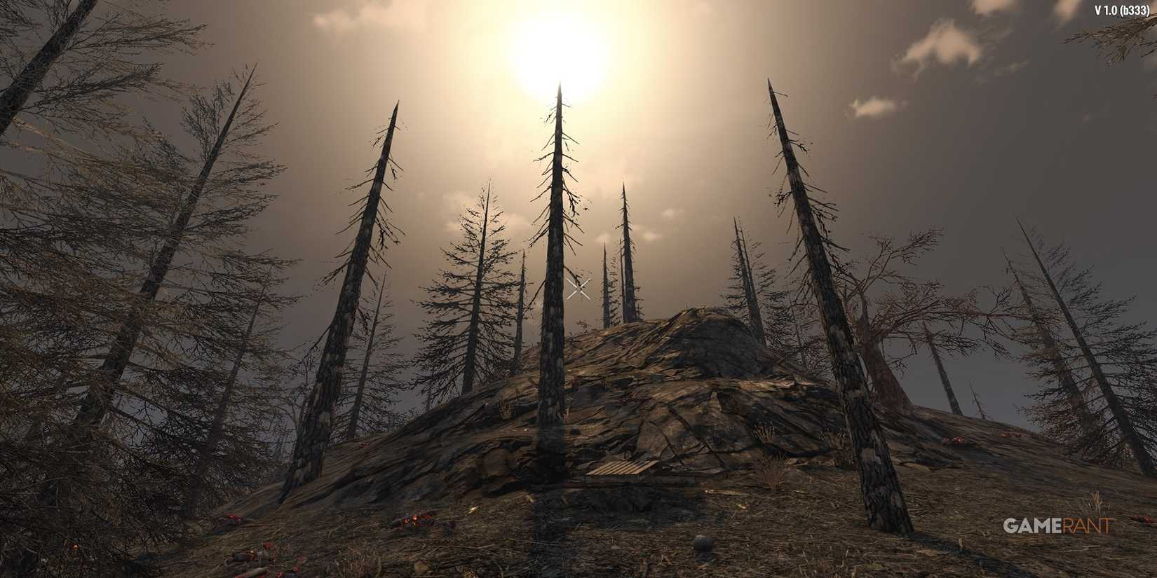Trees In The Burnt Forest Biome In 7 Days To Die