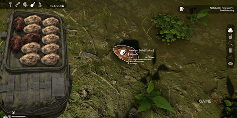 Unknown Bulb providing carbohydrates in the harsh environment in Green Hell