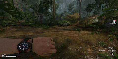 A Hillside Clearing in Green Hell